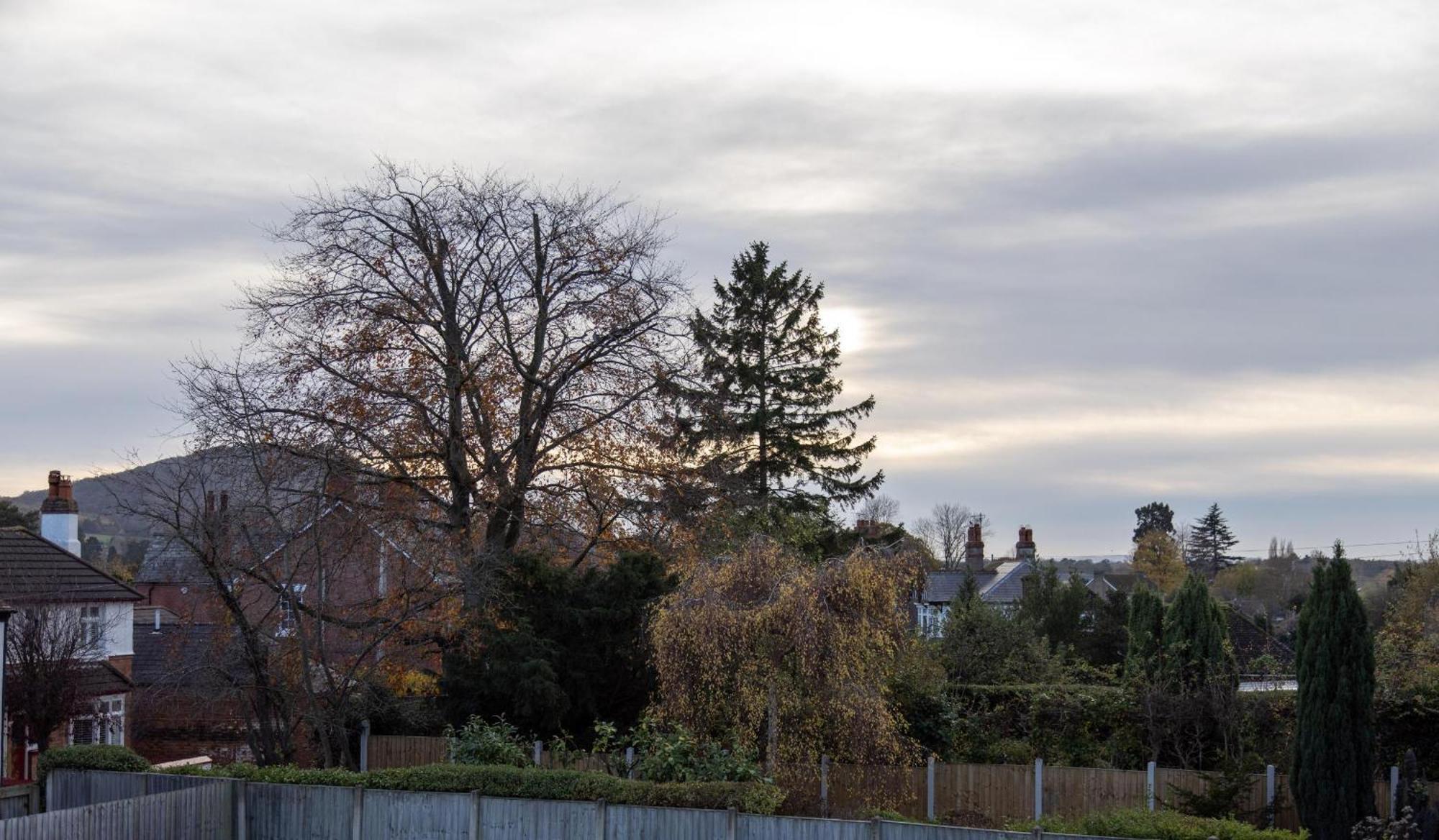 Crescent House Apartments Telford Rom bilde